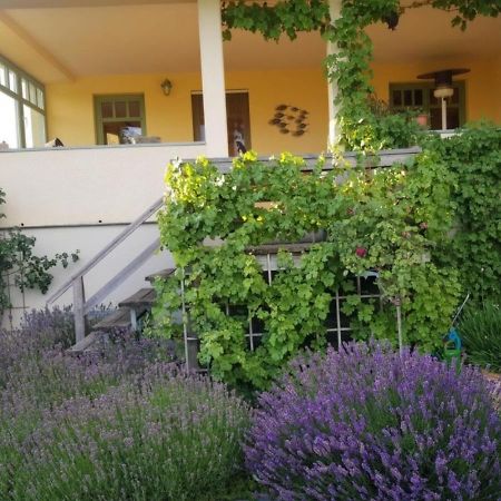 Ferienhaus Schiller 瓦伦 外观 照片