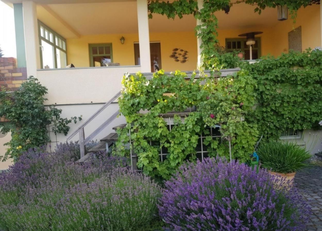Ferienhaus Schiller 瓦伦 外观 照片